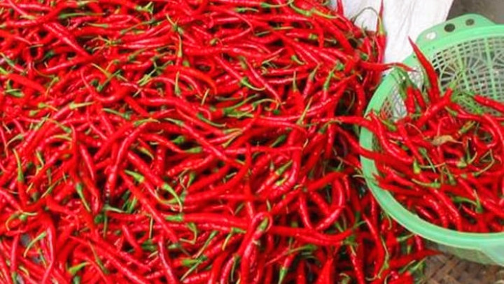 Mak Mak Pasti Senang, Harga Cabai Merah Bukittinggi Terus Turun di Pekanbaru