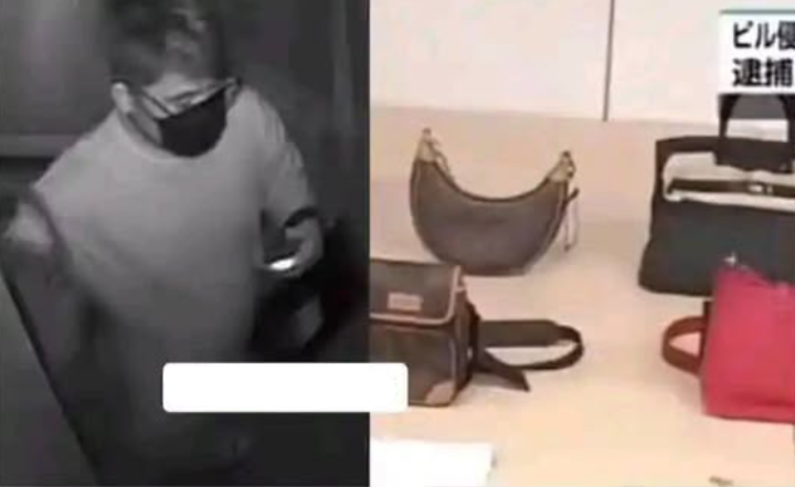 Polisi Jepang Ciduk WNI! Diduga Jadi Otak Pencurian Barang Antik Rp930 Juta