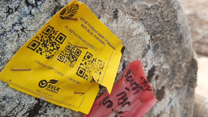 Viral! Kayu Terdampar di Pantai Lampung Ada Stiker Kemenhut dan PT Minas Pagai Lumber