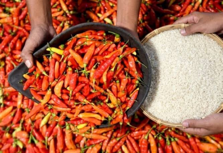Harga Pangan Naik Lagi, Beras Medium Rp16.600 dan Cabai Rawit Hijau Rp68.650/kg